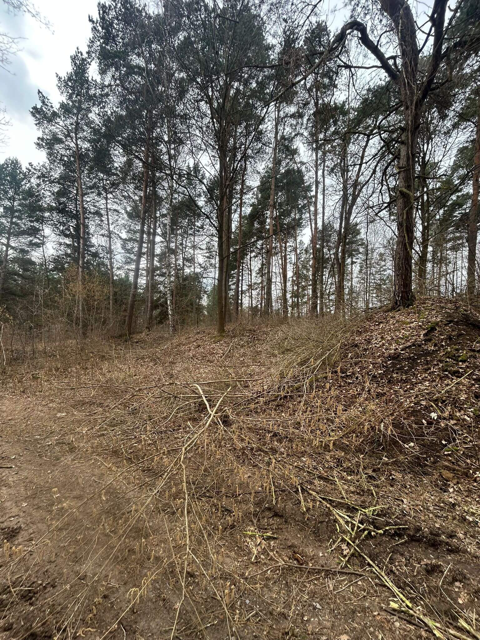 Realizacja Skill-Kop 32